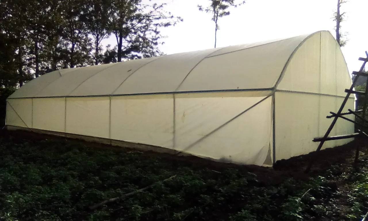 Why Pre-Galvanized Steel is the Only Viable Choice for Kenyan Greenhouses