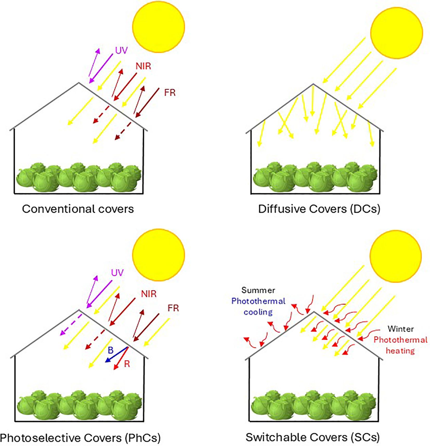 Greenhouse Yields 2026: How Light Diffusion Technology Increases Crop Revenue
