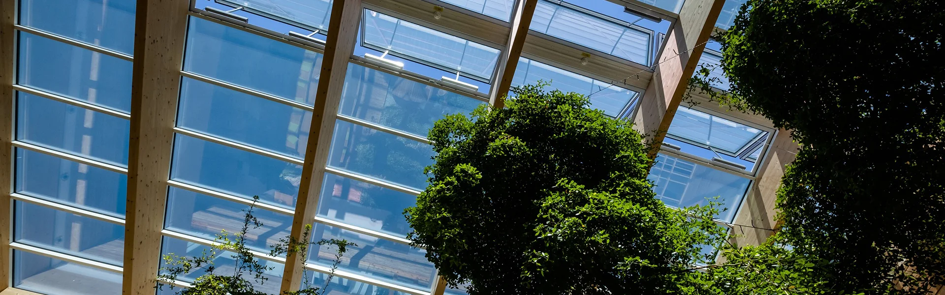 How Modern Buildings Use Natural Lighting to Reduce Electricity Costs